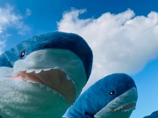 じゃーくん