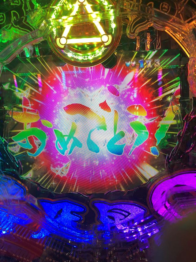 体験談画像