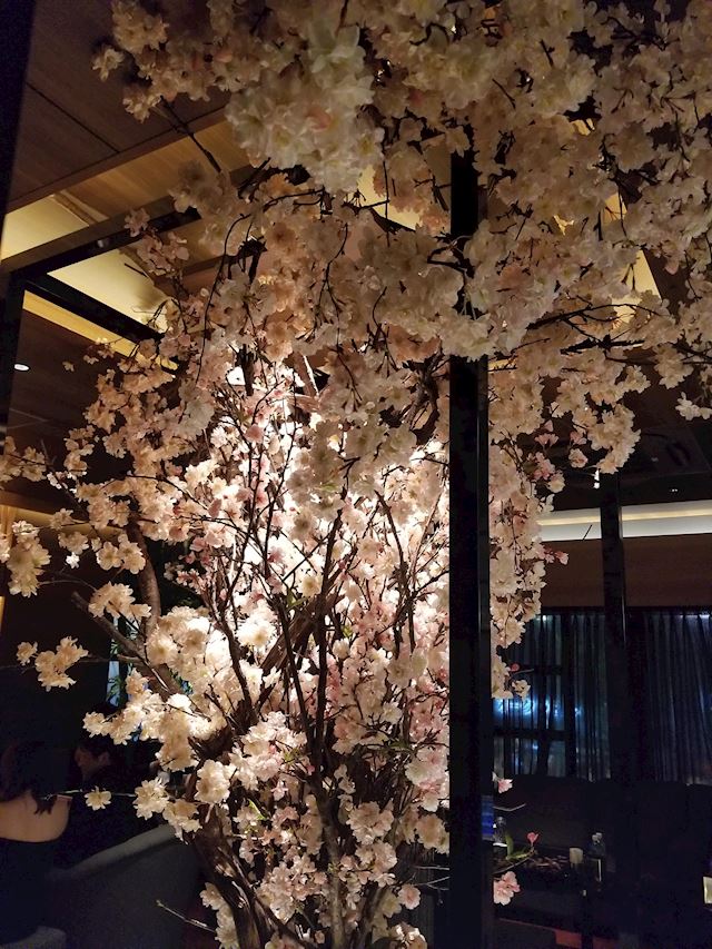 体験談画像