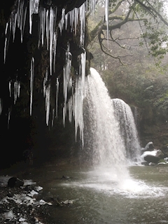 口コミ †ドンちゃん†