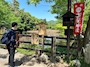 あしゅ｜口コミガチ勢