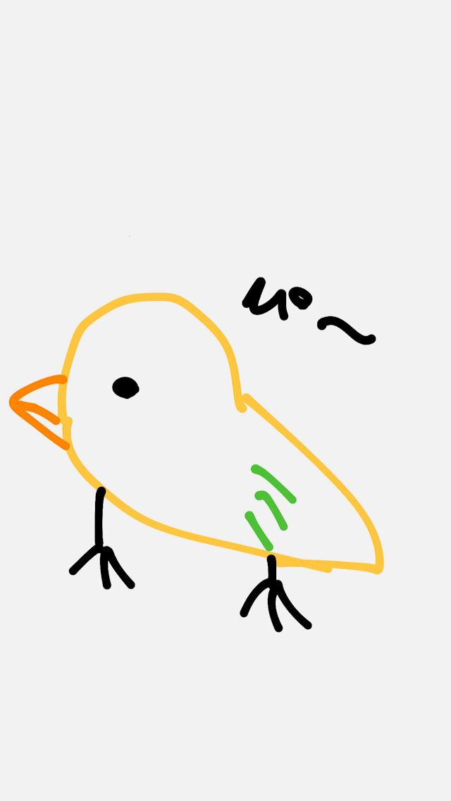 体験談画像