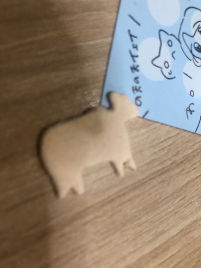 体験談画像