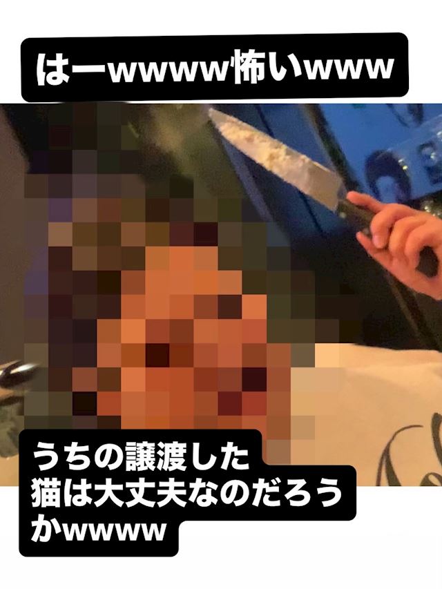 体験談画像