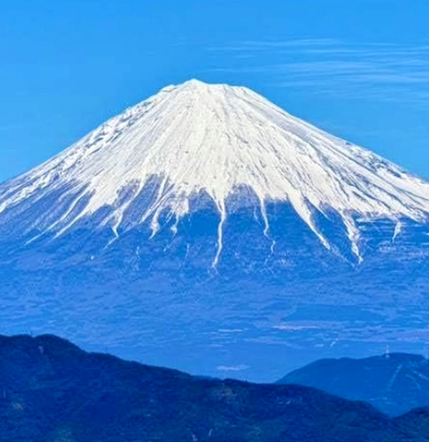 ケイ555
