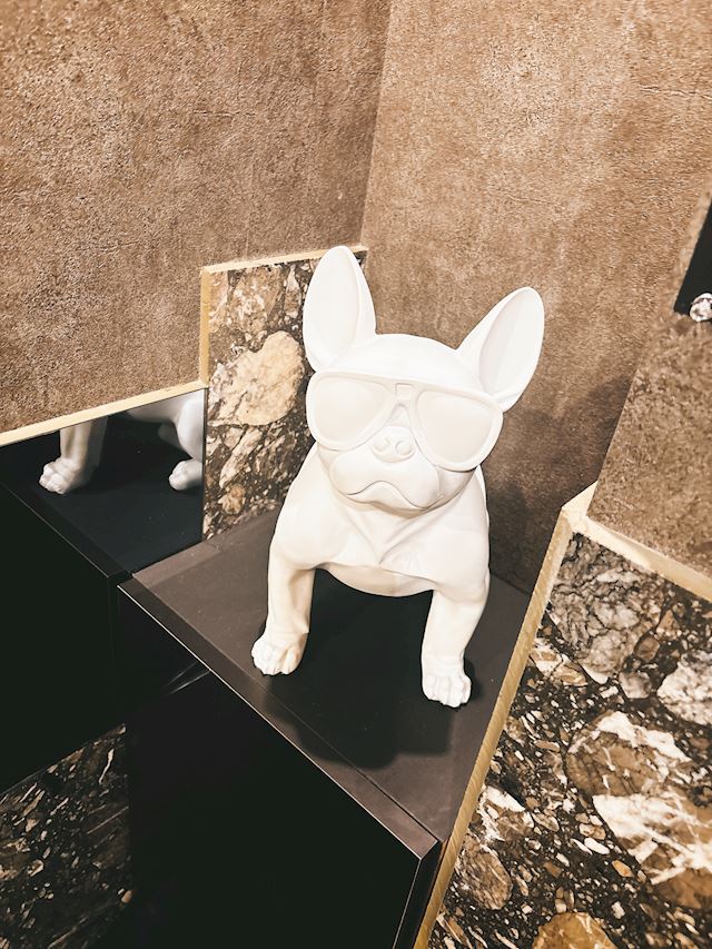 体験談画像