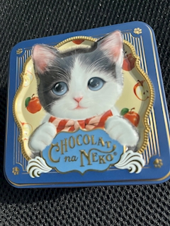 ニャン★ちゅう