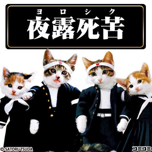 ﾄｯﾃｨ512