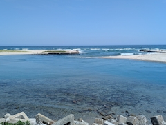 （退会ユーザー）