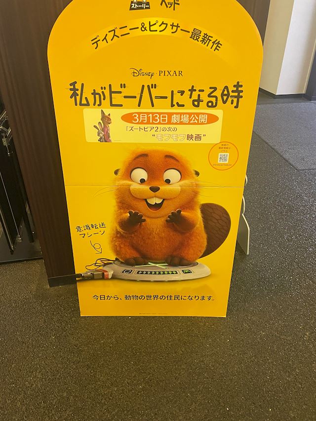 体験談画像