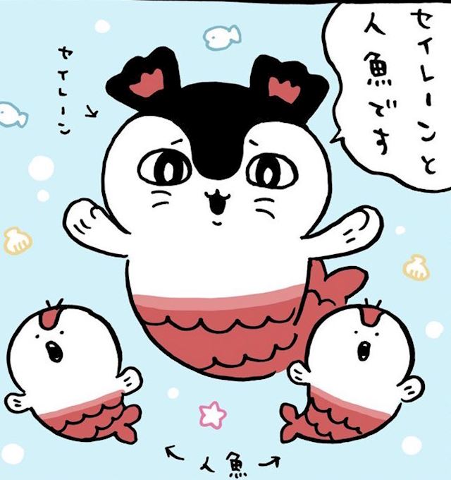 体験談画像