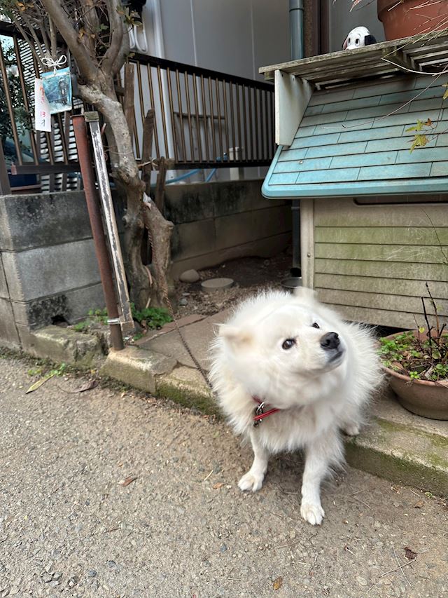 体験談画像