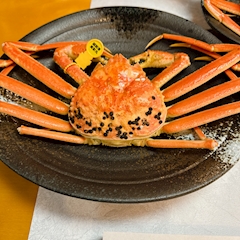 パンチートとお呼び