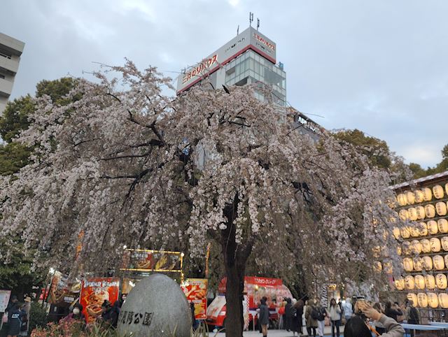 体験談画像