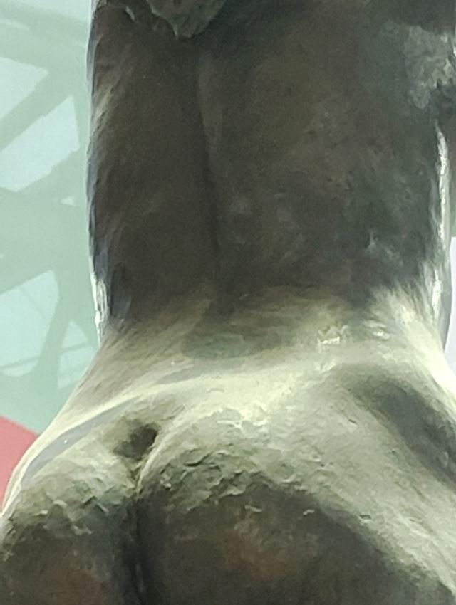体験談画像