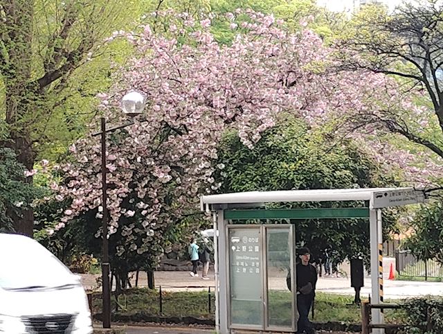 体験談画像