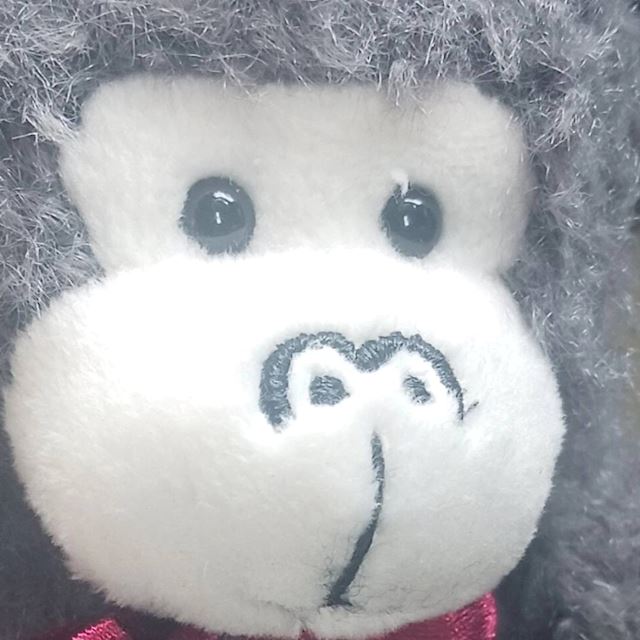 体験談画像