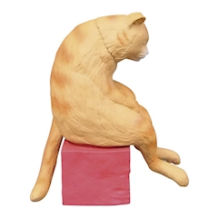 ねこ背??