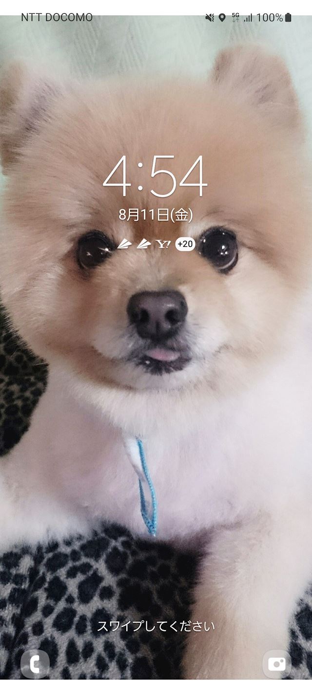 体験談画像
