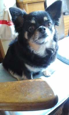 （退会ユーザー）