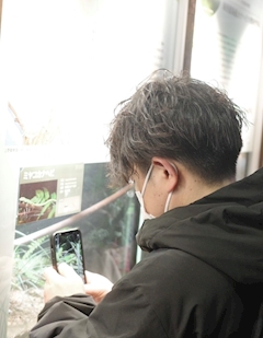 ナツイロサイダー