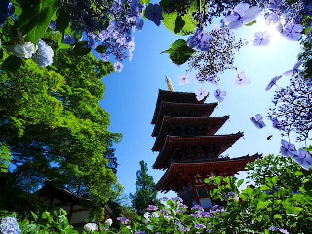 体験談画像