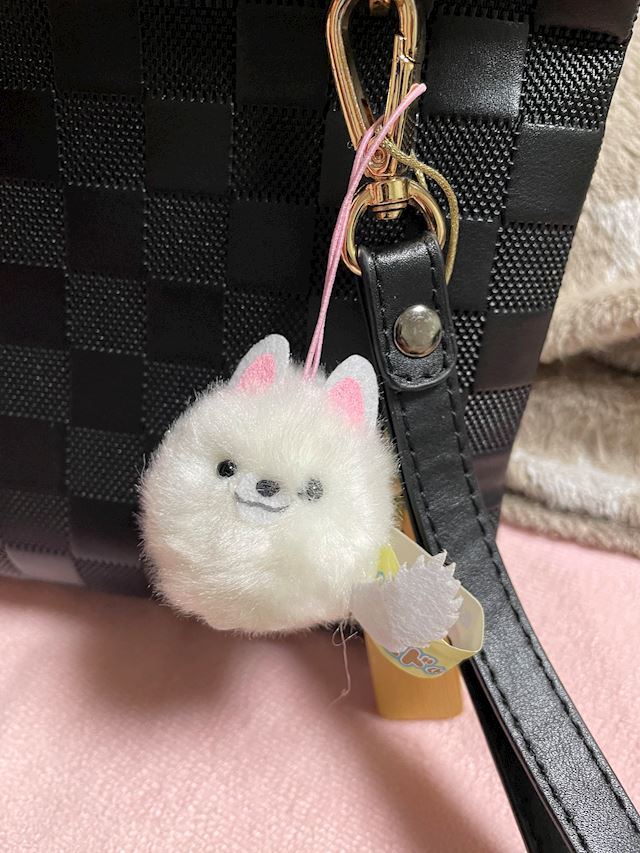 体験談画像