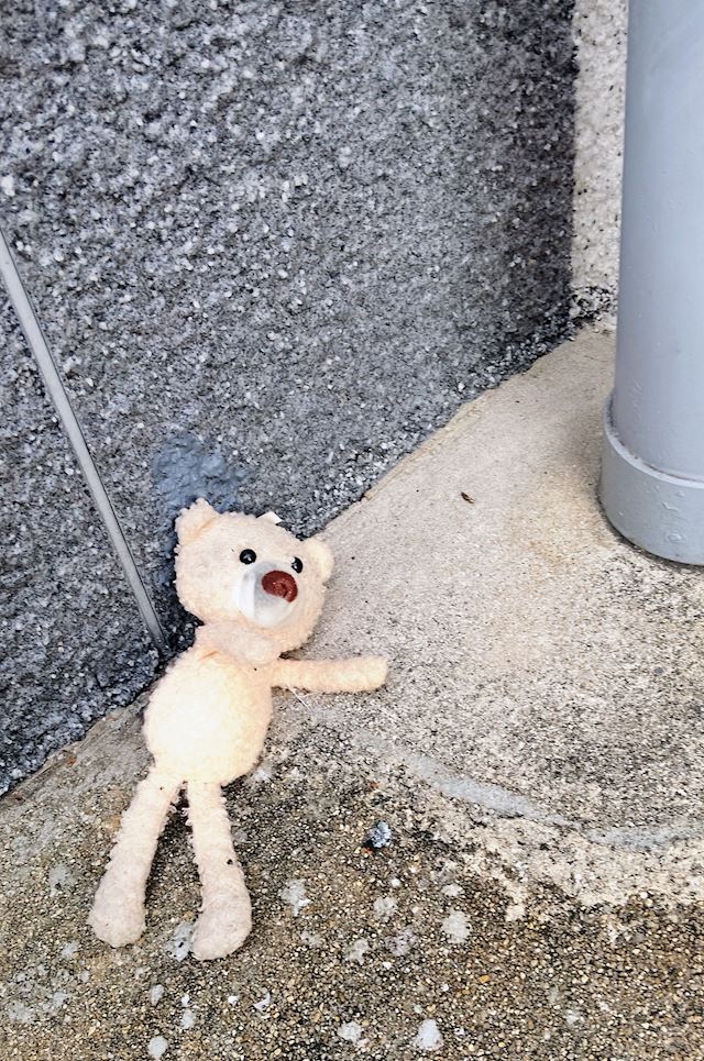 体験談画像