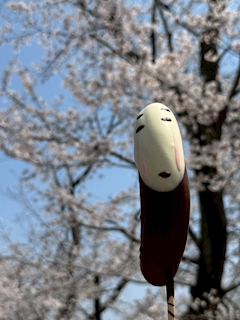 カリスマ党代表