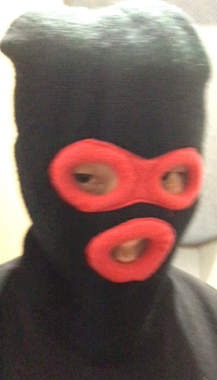 カリスマ党代表