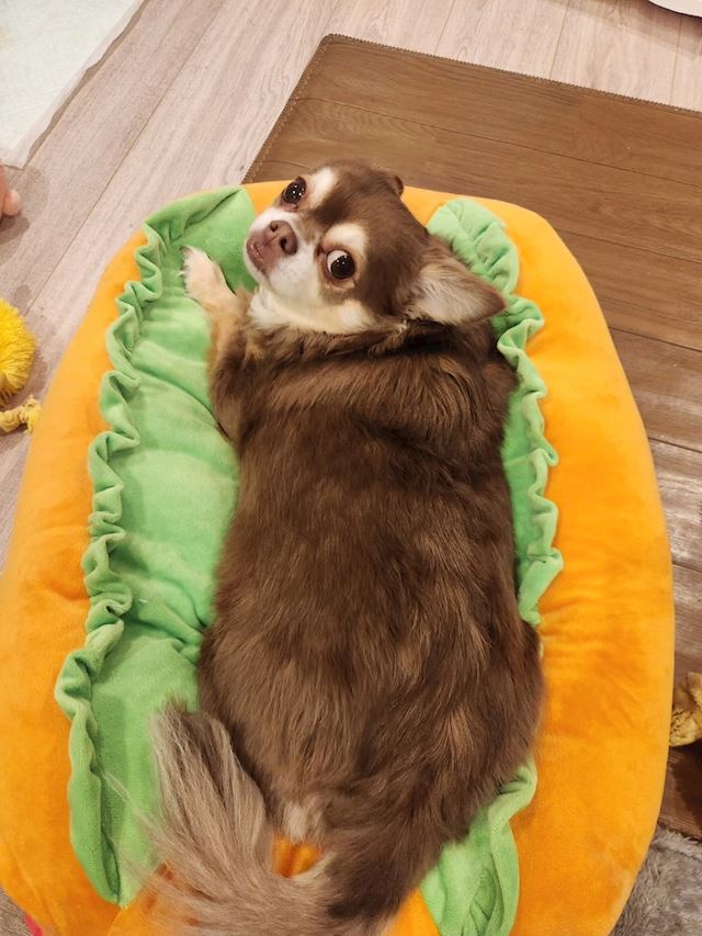 体験談画像