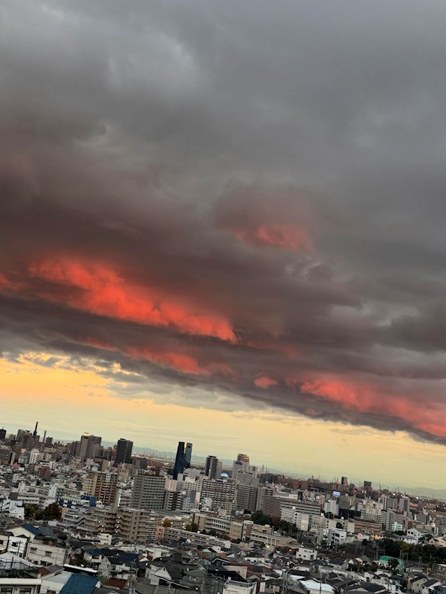 体験談画像