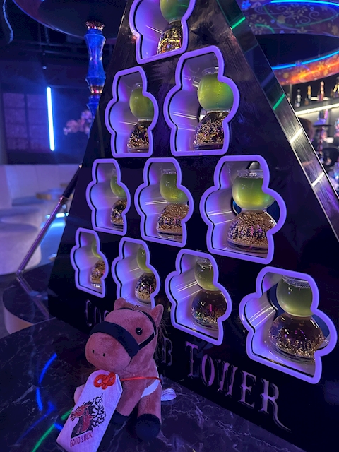 ヒロコヒー