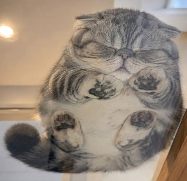 テキニッキ仙人