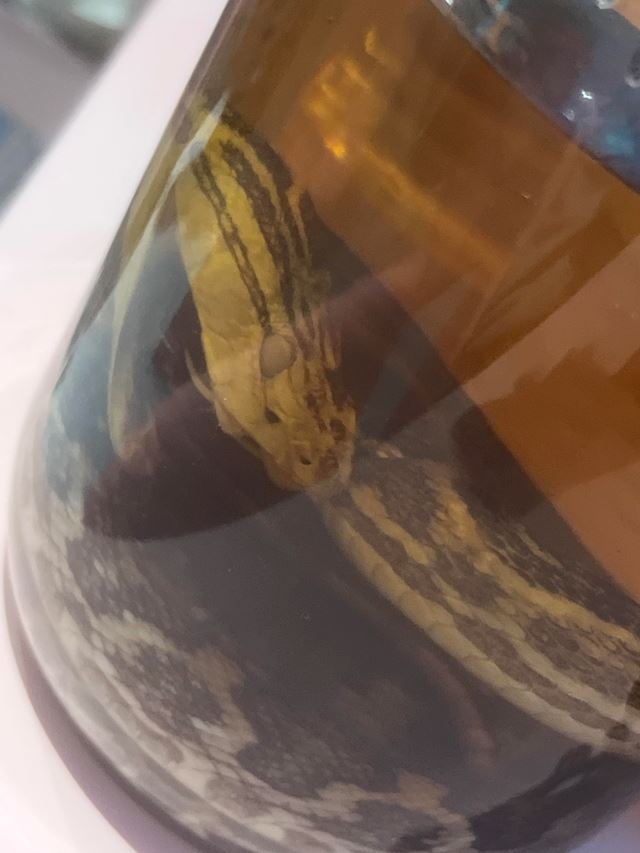体験談画像