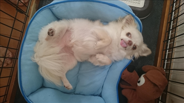 まさりん