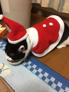 （退会ユーザー）