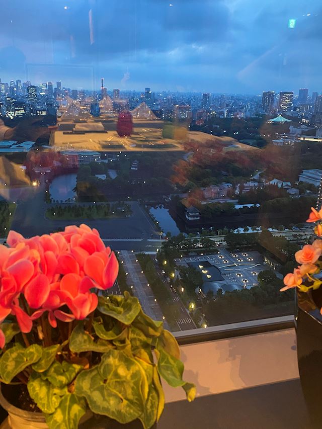 体験談画像