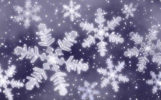 雪の華Ⅱ