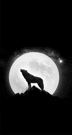 （退会ユーザー）