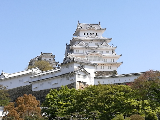 やっす～～