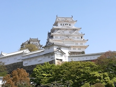 口コミ やっす～～