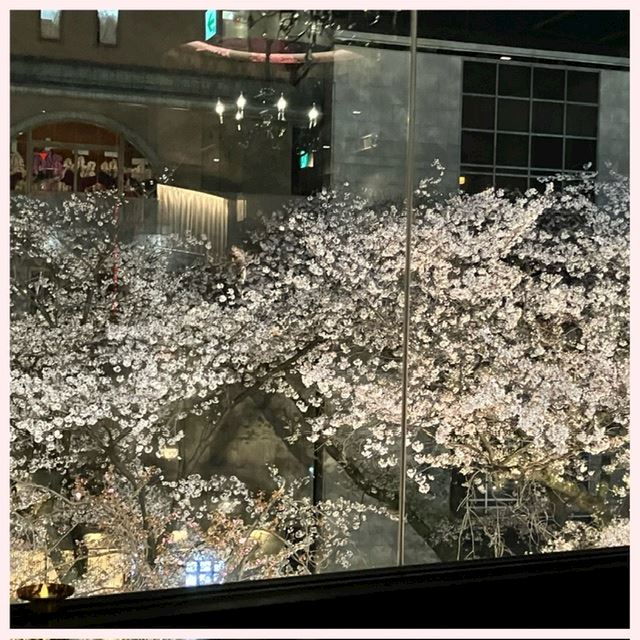 体験談画像