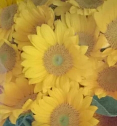 （退会ユーザー）