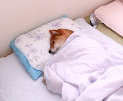 （退会ユーザー）