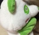_memberNameHeader