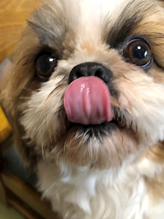 黒リラックマ