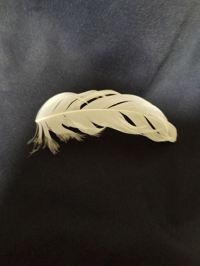 体験談画像
