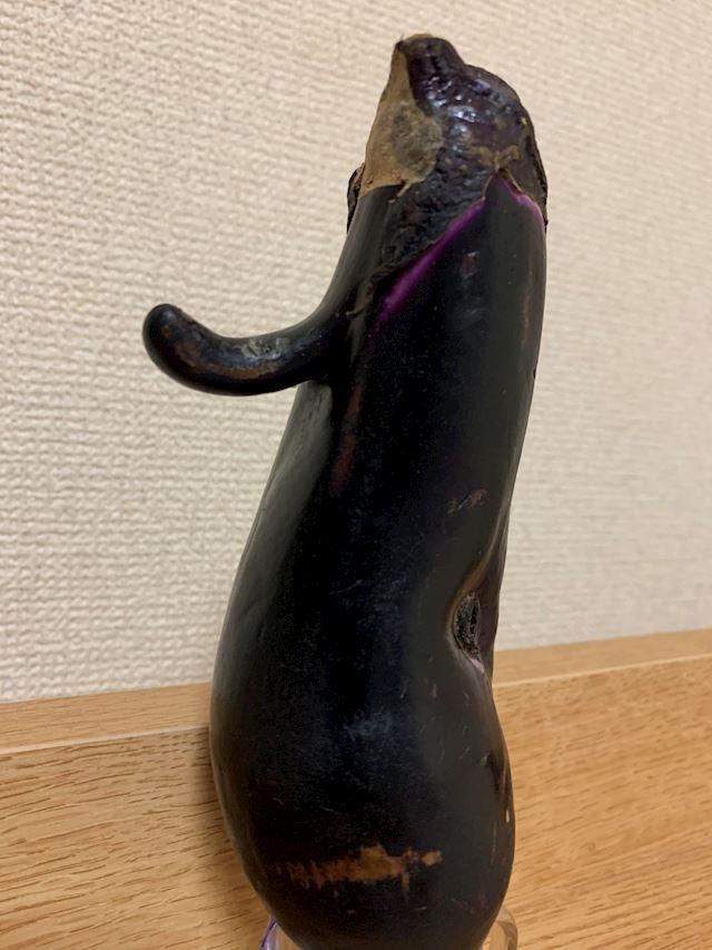 体験談画像