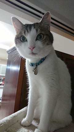 （退会ユーザー）